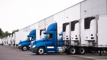 A row of semi-trucks parked