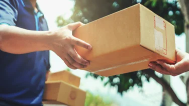 driver handing delivery to resident