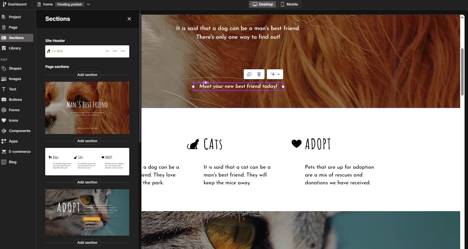 PageCloud editor