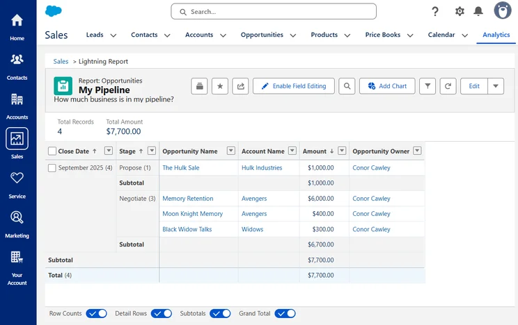 Salesforce Free Plan Pipeline Report
