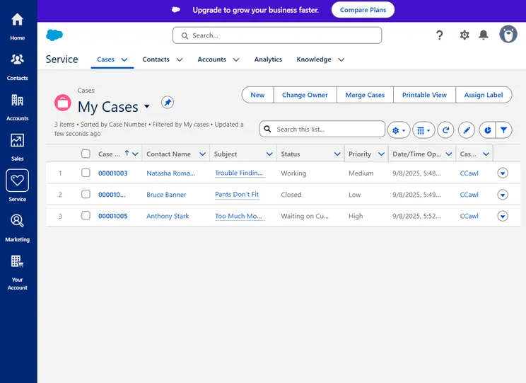Salesforce Free Plan Service Cases