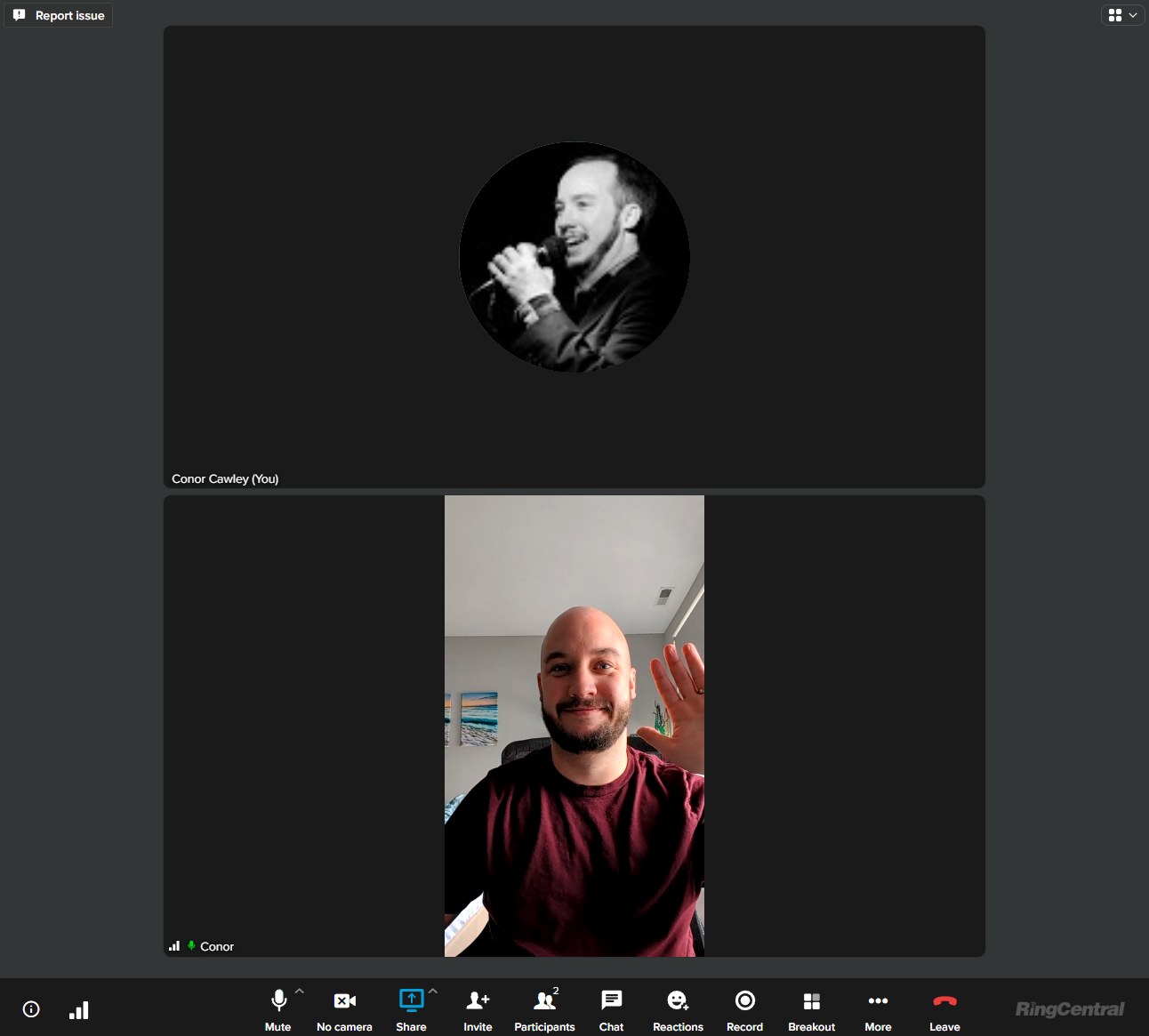 The RingCentral Video interface.