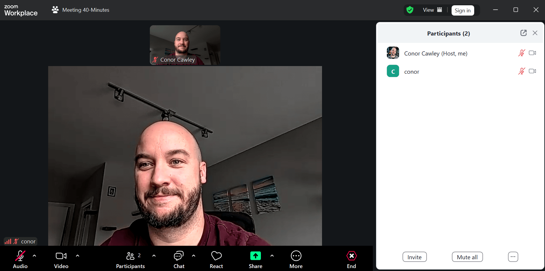 Zoom Meeting interface