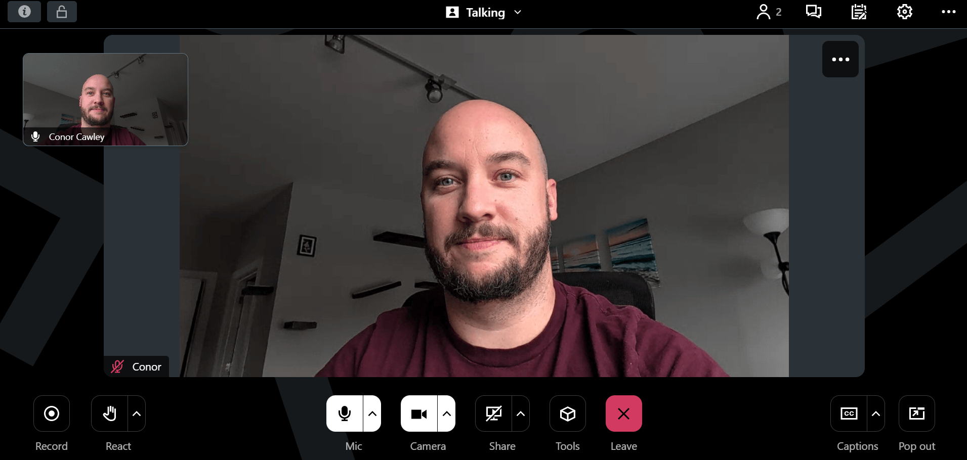 GoTo Meeting interface