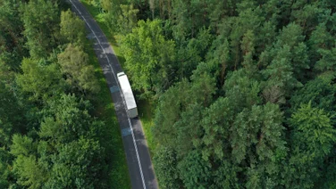 White truck on road through trees