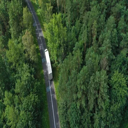 White truck on road through trees