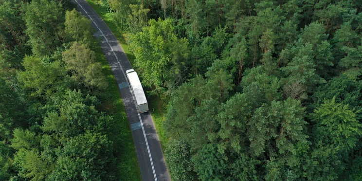 White truck on road through trees