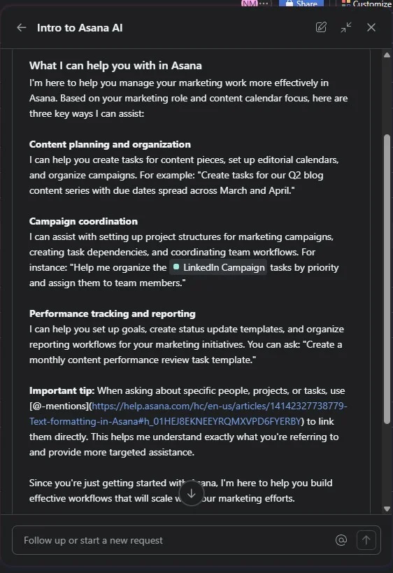 Asana AI outlining its abilities relating to my dashboard