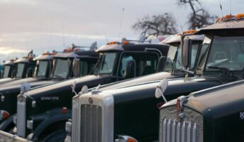 A row of trucks