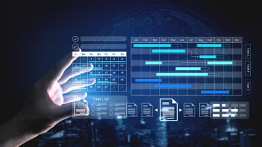 Graphic illustrating person using project management software